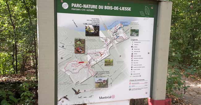 Parc-nature du Bois-de-Liesse